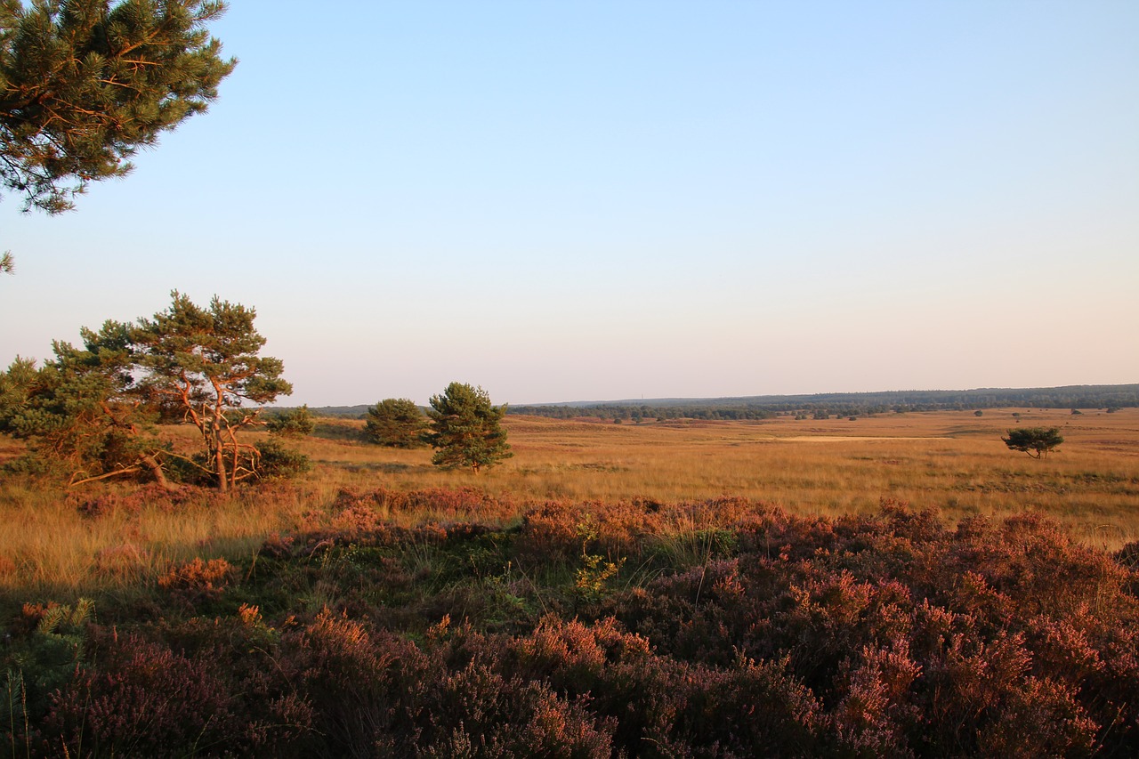 Zomervakantie in Nederland? Kies voor de Veluwe!